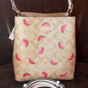 🍉COACH WTRMLN PRINT BUCKET BAG 🍉